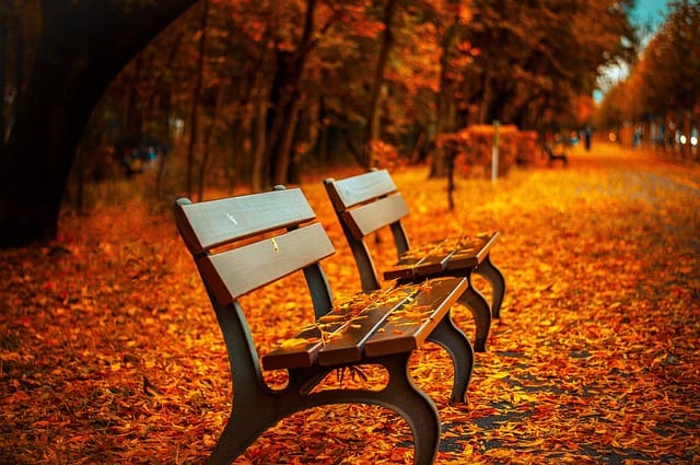 2018 Fall/Winter Weather Forecast: What to Expect in the GTA
