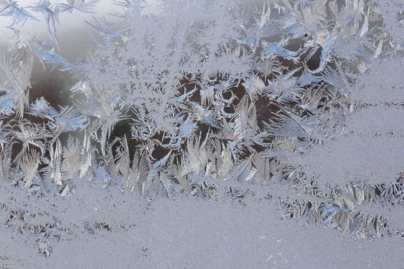 10 Reasons Why You Should Check the Humidity This Winter