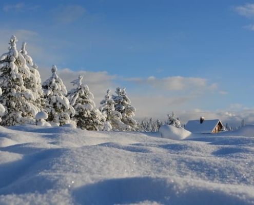 winter