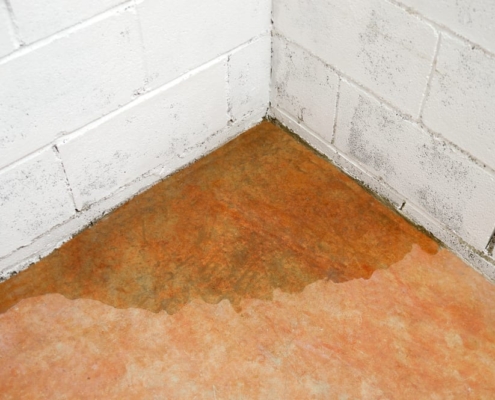 basement, flood, backup sump pump