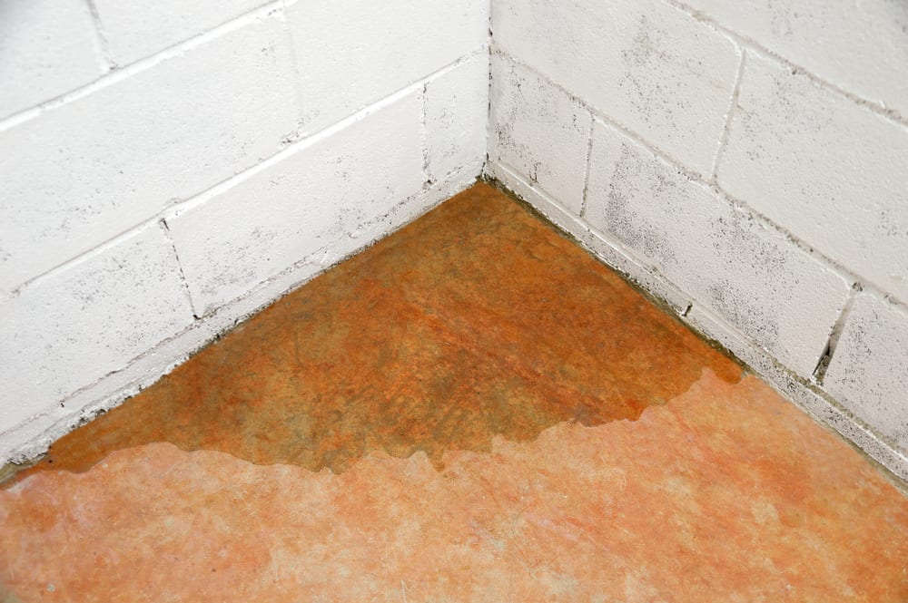 The Backup Plan Your Basement Needs!