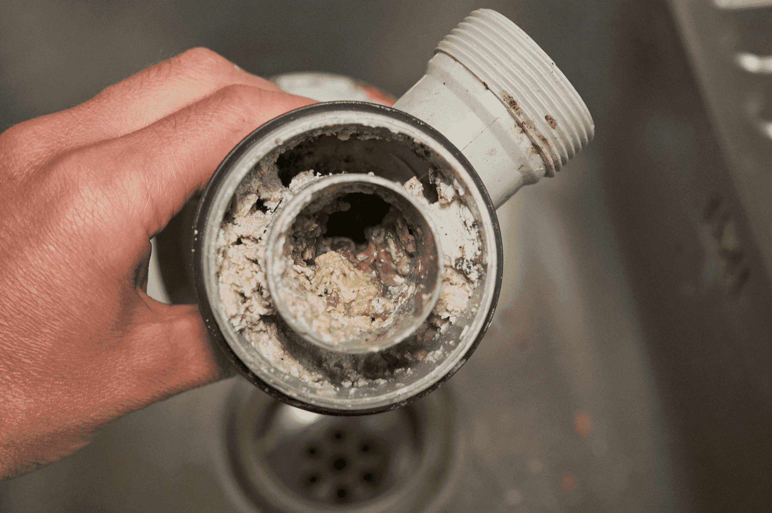 Avoid Kitchen Clogs: 5 Things To NEVER Pour Down